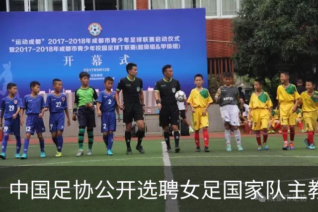 中国足协公开选聘女足国家队主教练