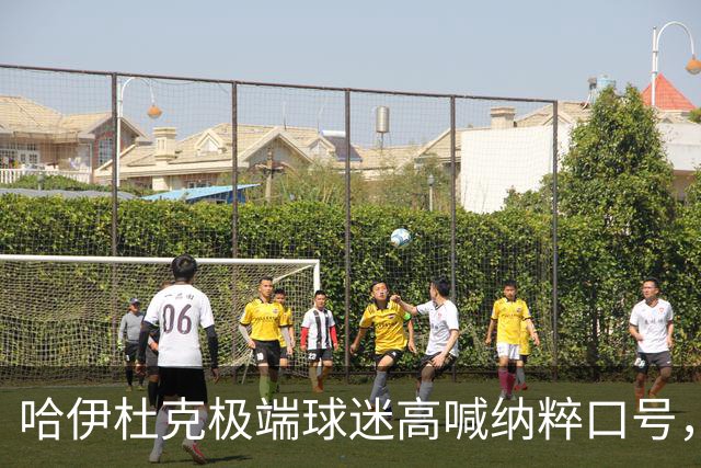 哈伊杜克极端球迷高喊纳粹口号，克罗地亚政府发声明强烈谴责