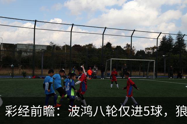 彩经前瞻：波鸿八轮仅进5球，狼堡锋线有望带走三分