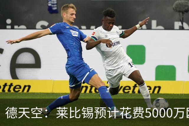 德天空：莱比锡预计花费5000万欧元买断格鲁达和艾纳维