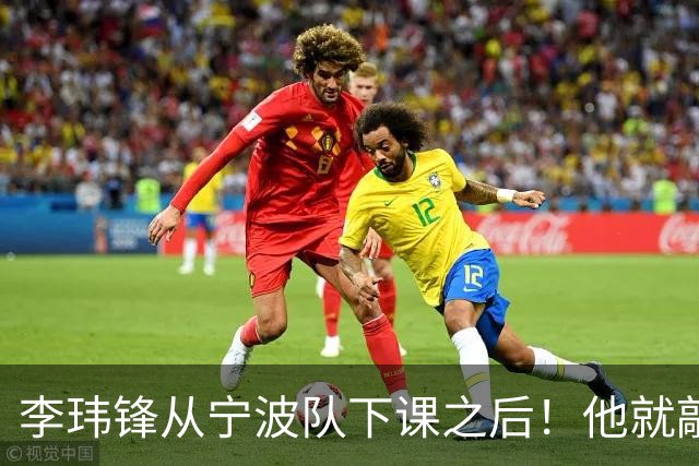 李玮锋从宁波队下课之后！他就敲定了新去处，未来专心搞青训
