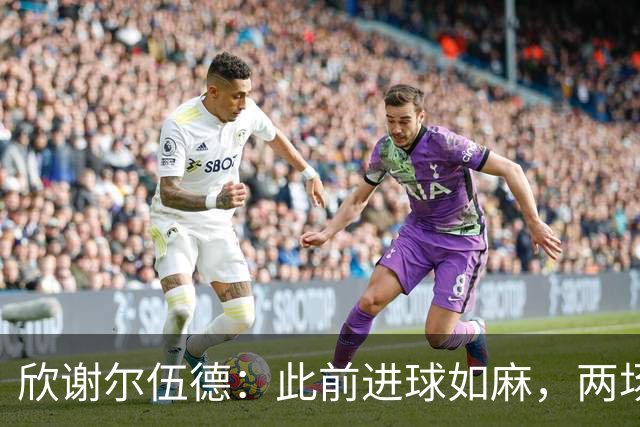 欣谢尔伍德：此前进球如麻，两场不进球就让我们学会谦逊