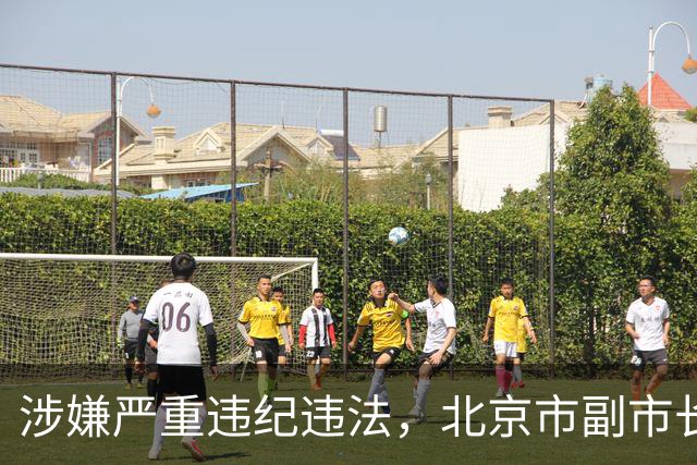 涉嫌严重违纪违法，北京市副市长夏林茂被查；曾任密云区委书记、东城区委书记等职