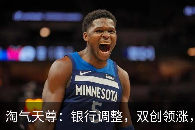 淘气天尊：银行调整，双创领涨，验证判断！