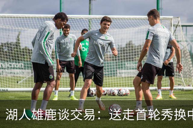 湖人雄鹿谈交易：送走首轮秀换中锋，消息人士却泼冷水