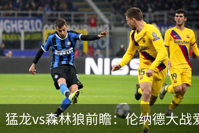 猛龙vs森林狼前瞻：伦纳德大战爱德华兹，一场不同风格的强硬对决