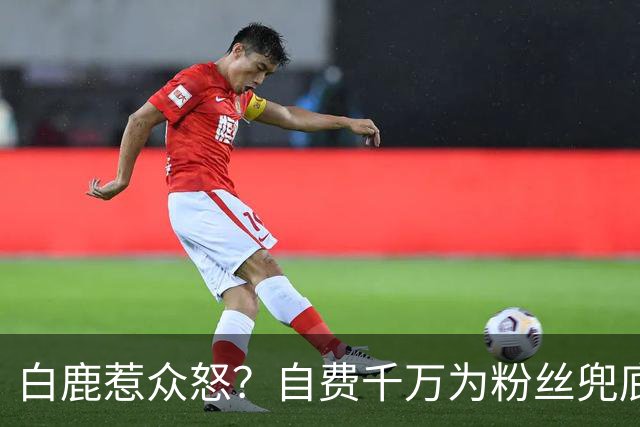 白鹿惹众怒？自费千万为粉丝兜底遭围攻，看清内幕才知她有多清醒