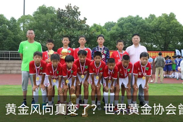 黄金风向真变了？世界黄金协会曾提醒：今年下半年，或将迎关键期