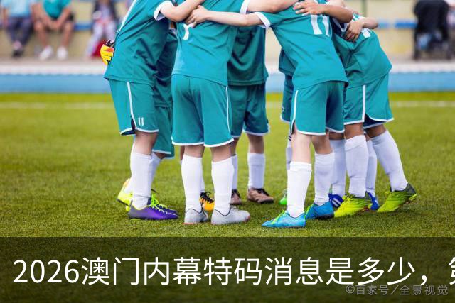 2026澳门内幕特码消息是多少，第292期新门澳内幕三中三预测，新六合彩精准一肖一码推荐，精准资料大全